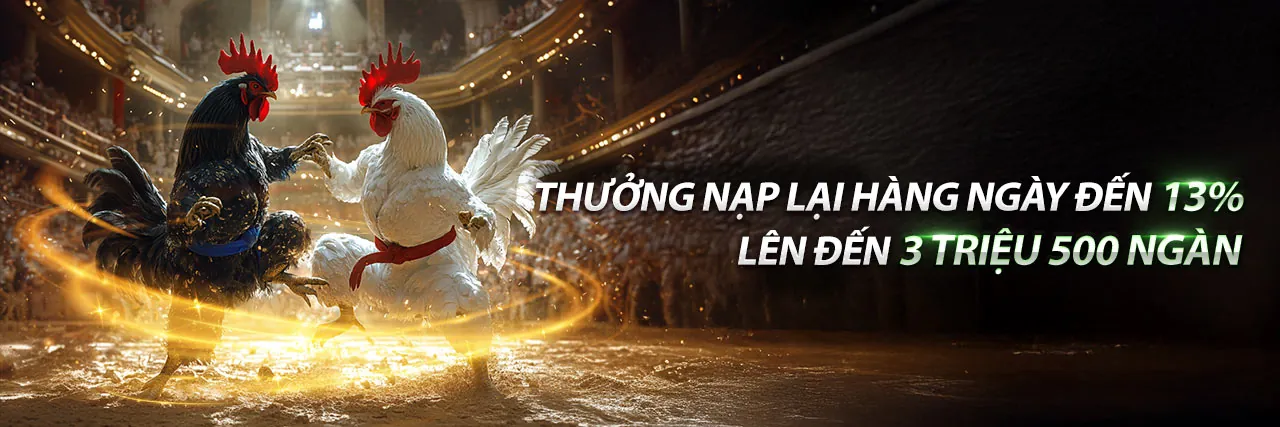 Đá gà trực tuyến với ưu đãi tặng 58k